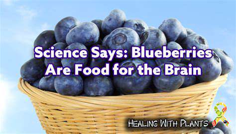 Health Benefits of Eating Blueberries Daily
