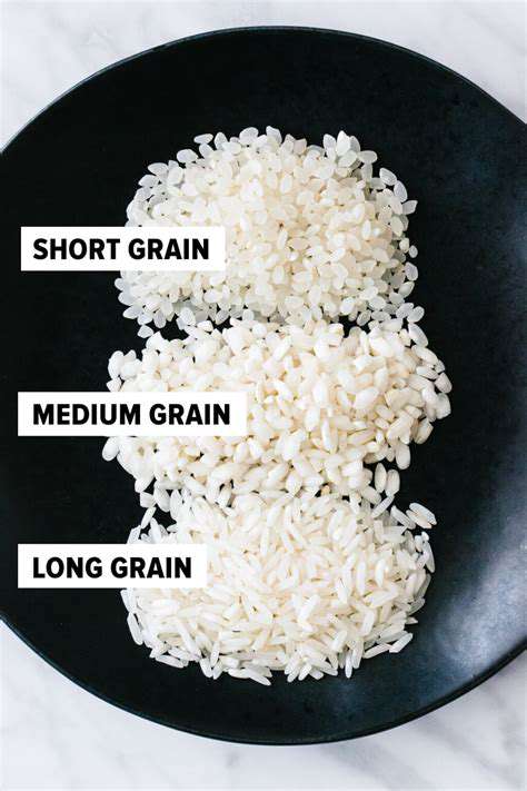Medium-GrainRice:ABalancedChoice