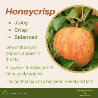 TheAromaticHoneycrisp:ABurstofSweetnessandCrunch