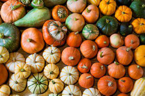 Seasonal Ingredient Guide for Fall [2025]