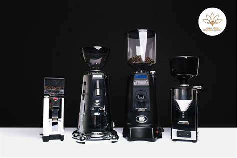 Top Coffee Grinders for Fresh Brews