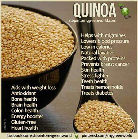 NutritionalPowerhouse:UnveilingtheBenefitsofQuinoa