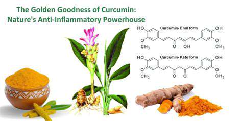 TheAnti-inflammatoryPowerhouse:Curcumin'sRole