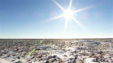 TheImportanceofaDark,Cool,andDryEnvironment