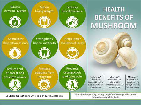 Types of Mushrooms and How to Use Them