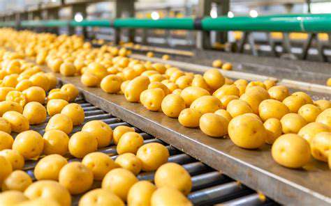 The History of Potatoes: More Than Just a Vegetable