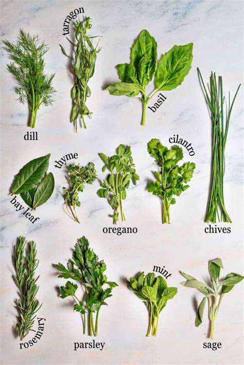 Food Culture in Vietnam: Fresh Herbs and Balance