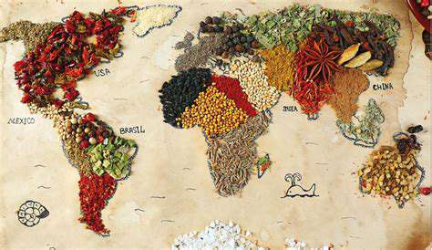 TheSpiceTradeandtheSpreadofCurry