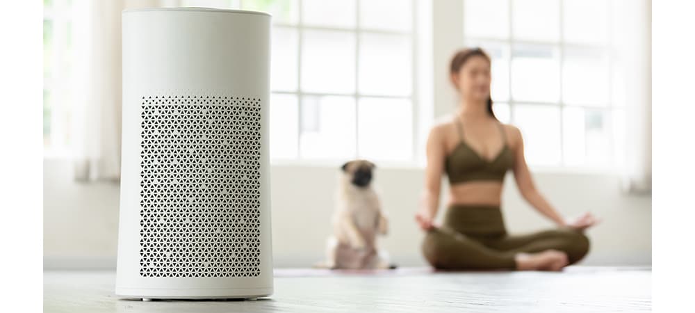 How To Use An Air Purifier The Right Way?